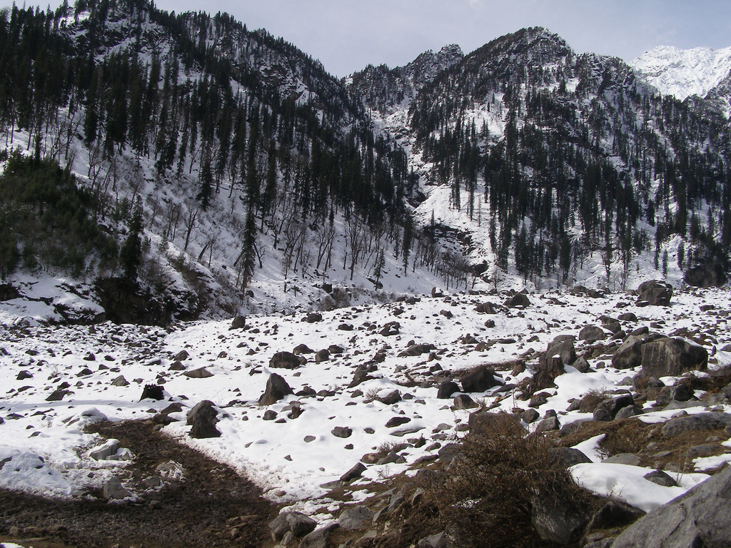 https://d3r8gwkgo0io6y.cloudfront.net/upload/Snow point Manali02..jpg